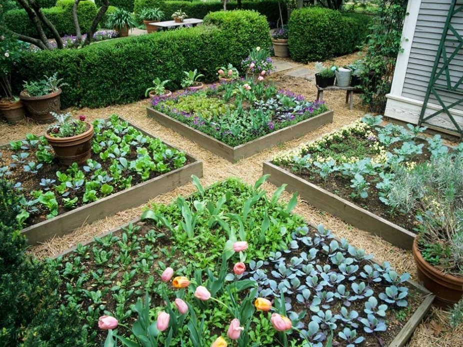 How Do You Build a Simple Raised Garden Bed