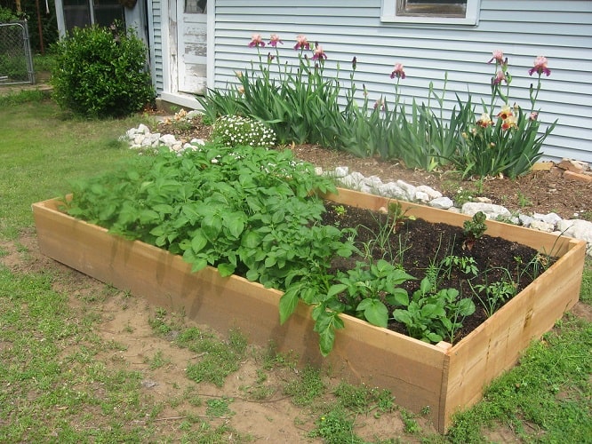 How To Build Easy Raised Garden Bed?