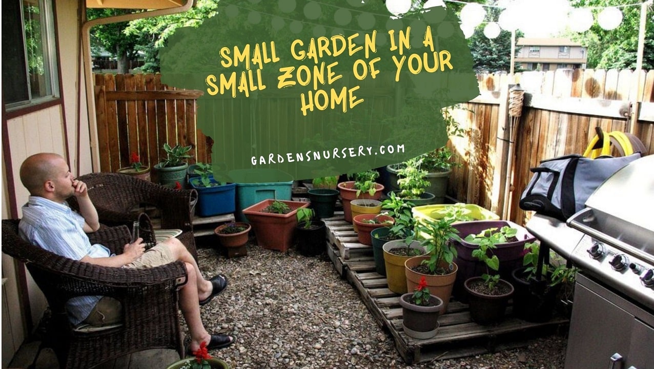 Small Garden In A Small Zone Of Your Home