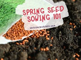 Spring Seed Sowing 101 - Gardening Guide