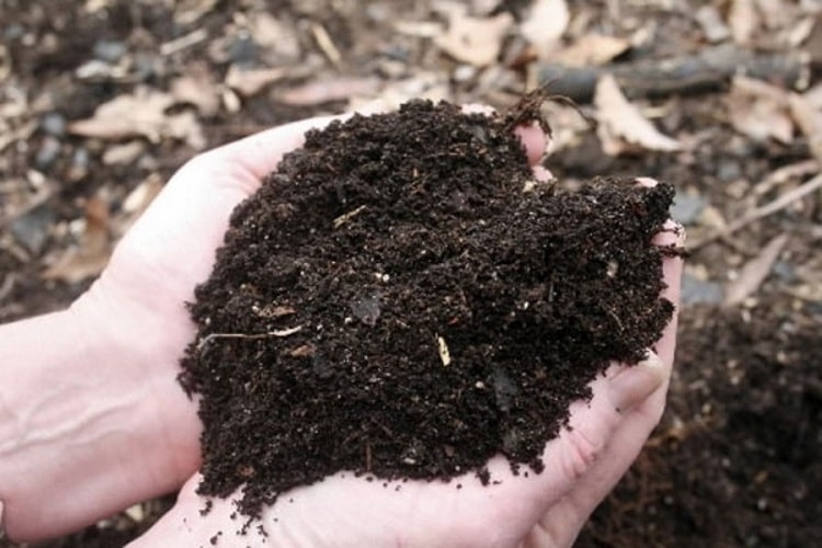 Uses and Benefits of Mature Compost