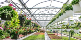 What's a Tree & Plant in Grower Nursery