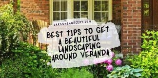 Best Tips To Get a Beautiful Landscaping Around Veranda