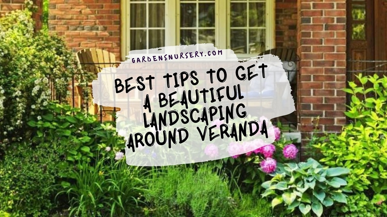 Best Tips To Get a Beautiful Landscaping Around Veranda