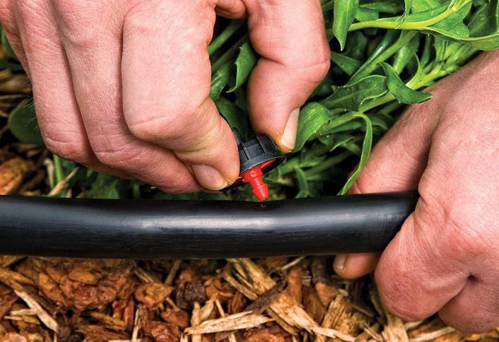 Drip Irrigation the Bottom Line in Landscaping
