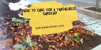 How To Care For a Vandalized Garden