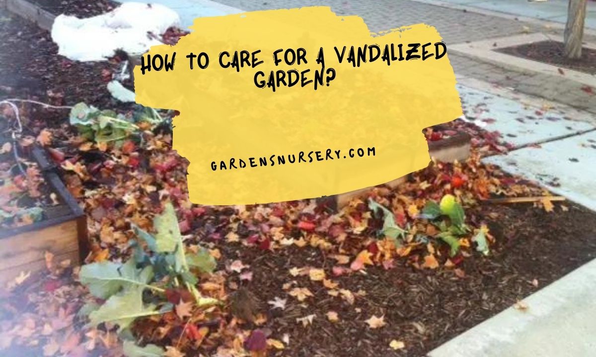 How To Care For a Vandalized Garden