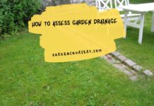 How to Assess Garden Drainage