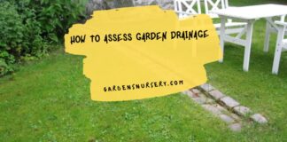 How to Assess Garden Drainage