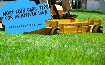 Most Lawn Care Tips For Beautiful Lawn