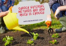 Garden Watering Methods and How Much Is Enough