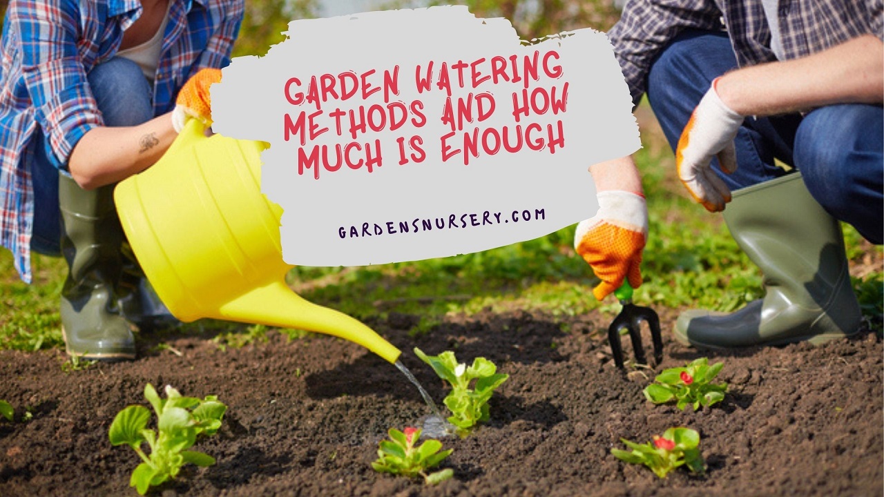 Garden Watering Methods and How Much Is Enough