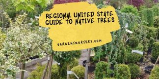 Regional United State Guide to Native Trees