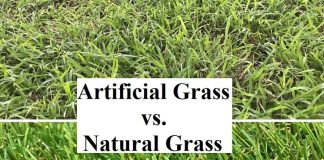 Artificial Grass vs. Natural Grass - What Is The Best For You
