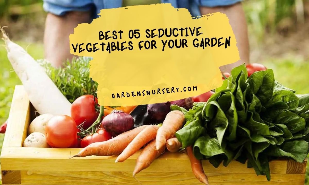 Best 05 Seductive Vegetables for your Garden