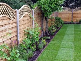 Best Decorative Garden Fencing Ideas