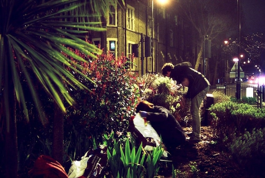 Night-Time Gardening - Night Garden