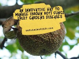 An Innovative Way to Manage (Brown Rot) Fungi Fruit Gardens Diseases