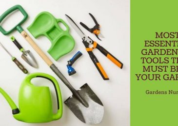 Most Essential Gardening Tools that Must Be in Your Garden
