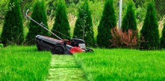 6 Tips to Start Your Lawn Care Business