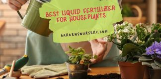 Best Liquid Fertilizer for Houseplants