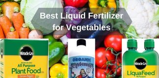 Best Liquid Fertilizer for Vegetables