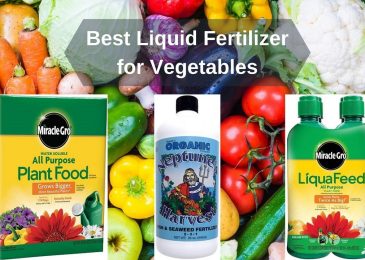 Best Liquid Fertilizer for Vegetables