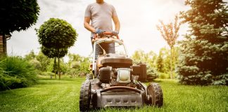 Lawn Care Basics Every Home Owner Should Know