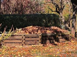 How To Turn Kitchen Waste Into A Compost