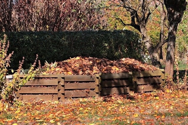How To Turn Kitchen Waste Into A Compost