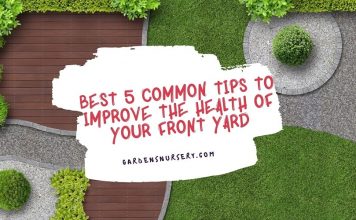Best 5 Common Tips To Improve The Health Of Your Front Yard
