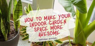 How To Make Your Indoor Garden Space More Awesome