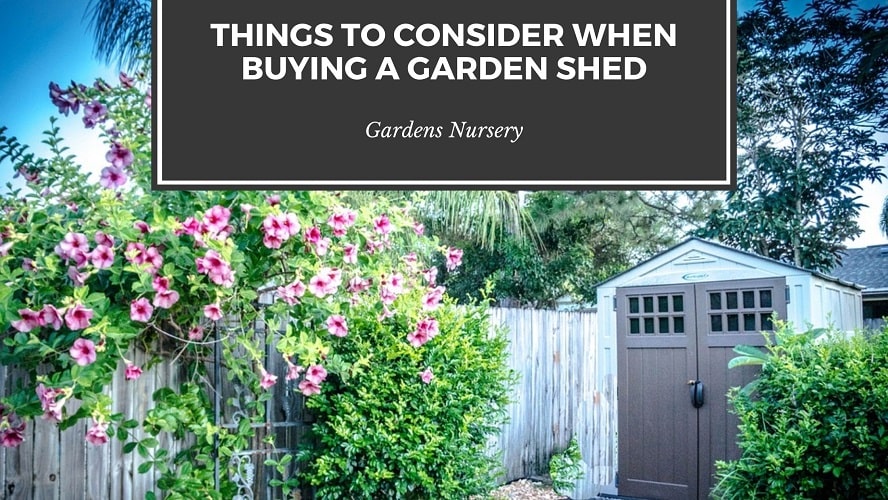 Things to Consider When Buying a Garden Shed