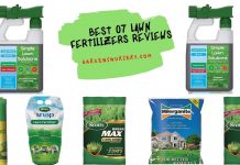 Best 07 Lawn Fertilizers Reviews