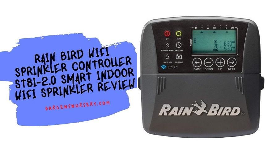 This Amazon Review Explains Why You Should Buy Rainbird’s Wi-Fi Controller