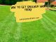 How to Get Greener Lawn Today