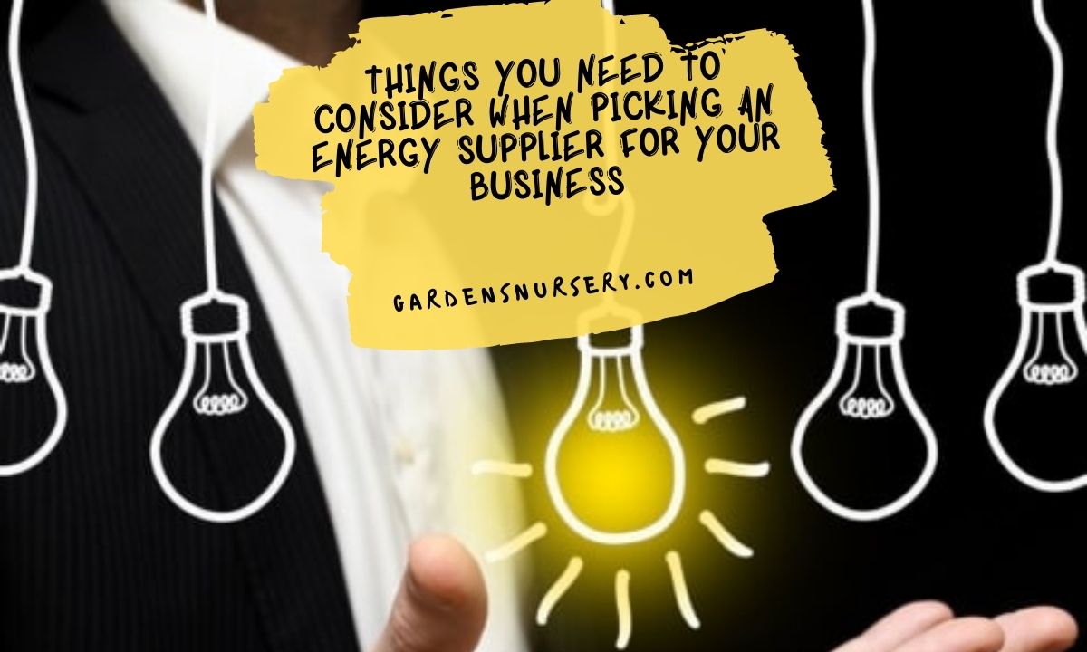 Things You Need To Consider When Picking An Energy Supplier For Your Business