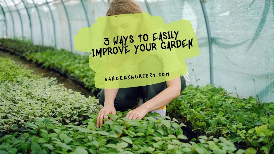 Top 3 Ways To Easily Improve Your Garden