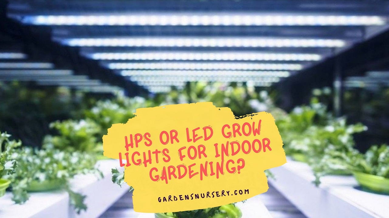 HPS or LED Grow Lights for Indoor Gardening