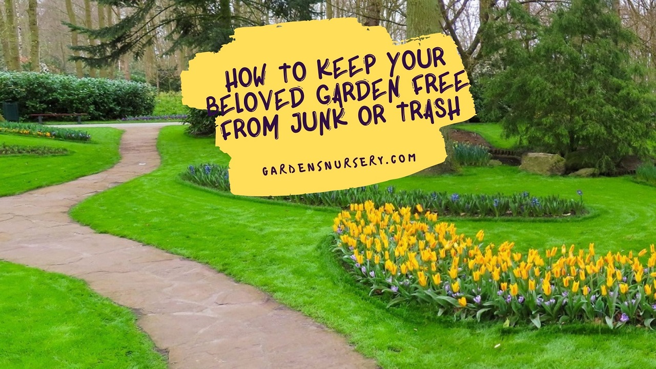 How To Keep Your Beloved Garden Free From Junk Or Trash