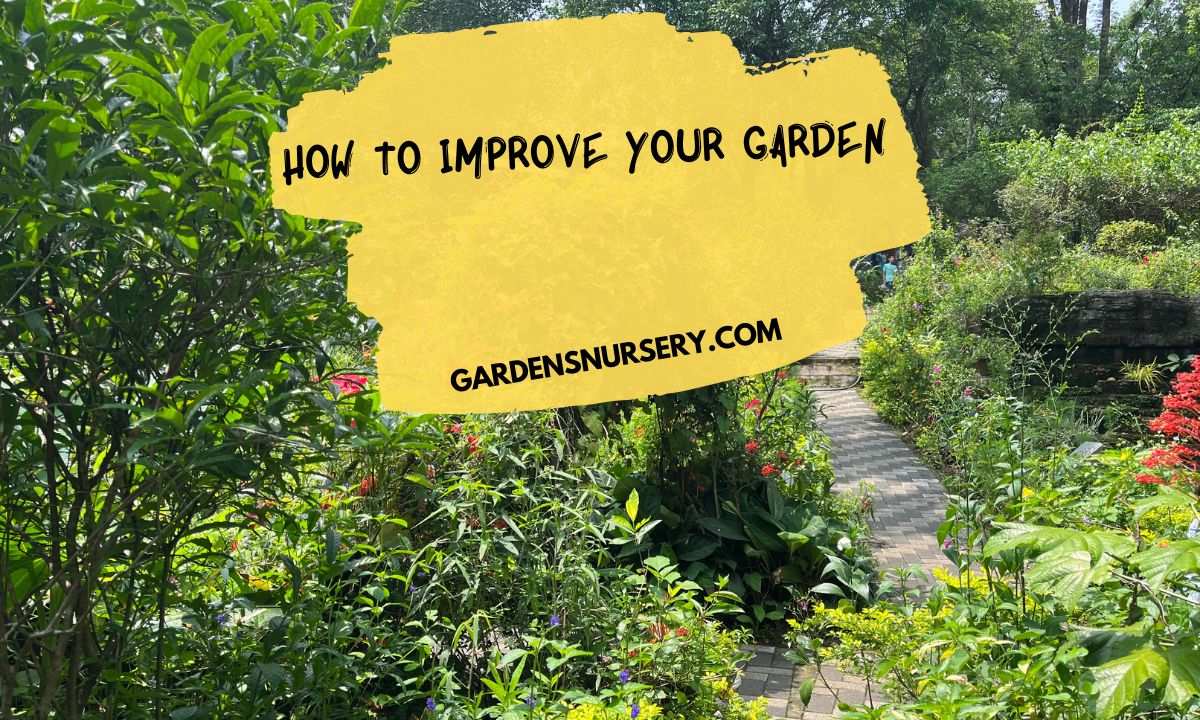 How to Improve Your Garden