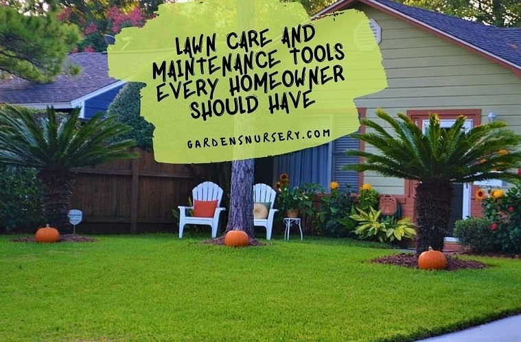 Lawn Care and Maintenance Tools Every Homeowner Should Have