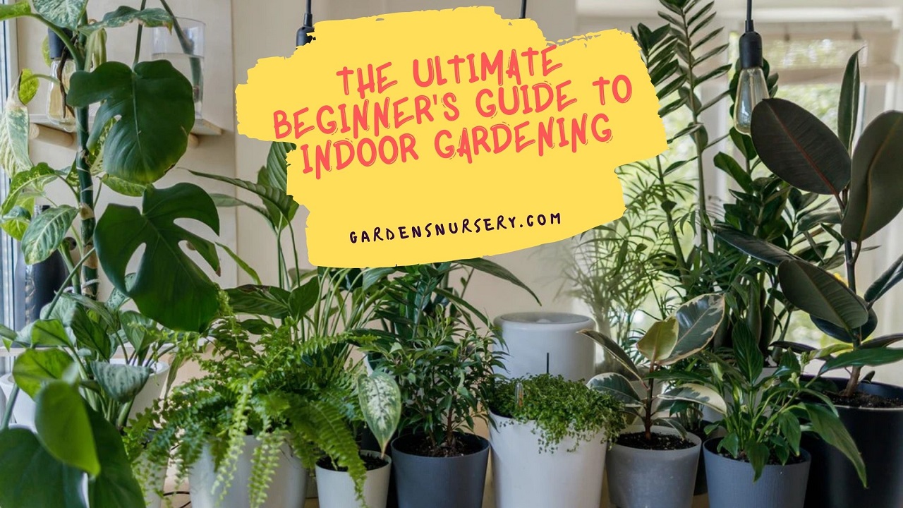 download gardening for beginners for free