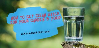 How to Get Clean Water For Your Garden & You