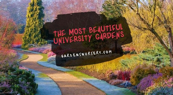 The Most Beautiful University Gardens