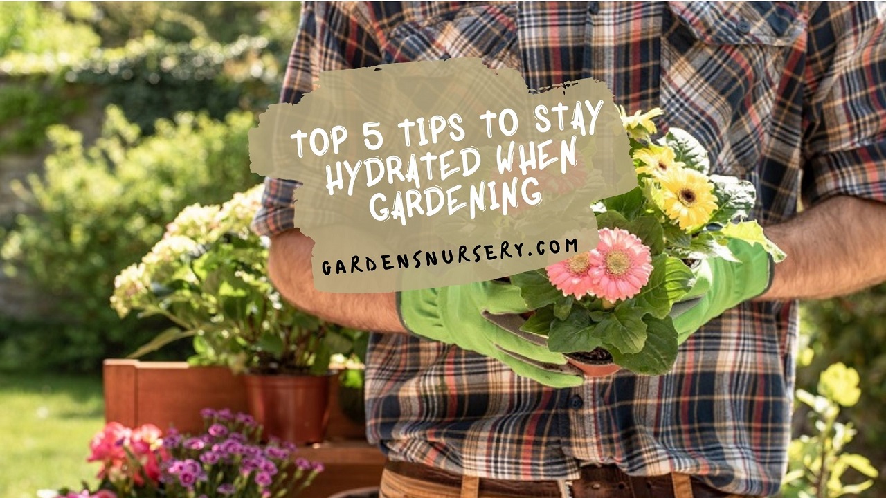 Top 5 Tips To Stay Hydrated When Gardening