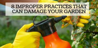 8 Improper Gardening Practices That Can Damage Your Garden