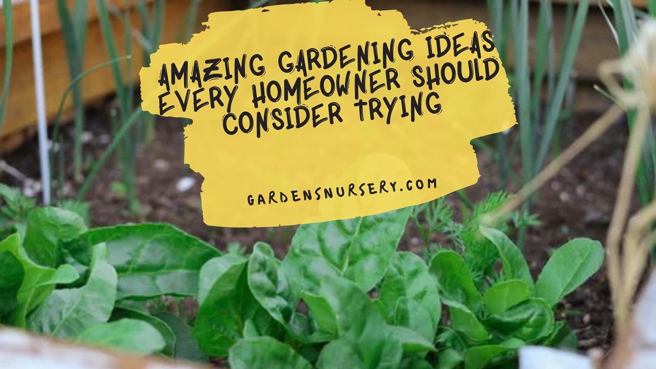 Amazing Gardening Ideas Every Homeowner Should Consider Trying