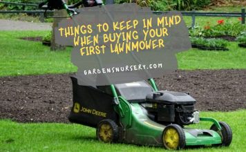 Things to Keep in Mind When Buying Your First Lawnmower