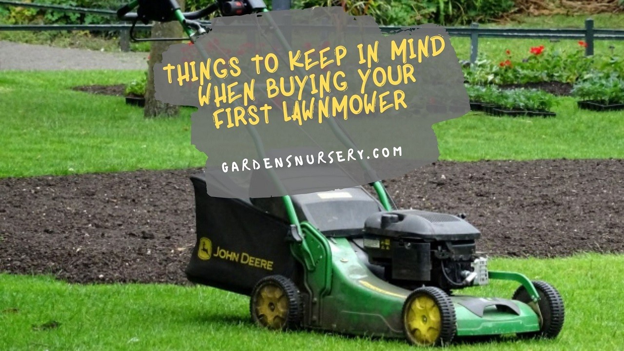 Things to Keep in Mind When Buying Your First Lawnmower